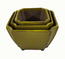 Carica l&#39;immagine nel visualizzatore di Gallery, Vaso Bonsai verde oliva (art. 01)
