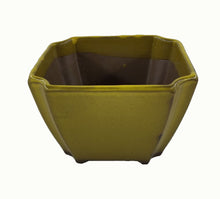 Carica l&#39;immagine nel visualizzatore di Gallery, Vaso Bonsai verde oliva (art. 01)
