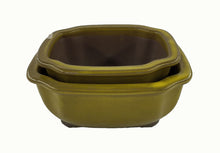 Carica l&#39;immagine nel visualizzatore di Gallery, Vaso Bonsai verde oliva (art. 02)
