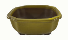 Carica l&#39;immagine nel visualizzatore di Gallery, Vaso Bonsai verde oliva (art. 02)
