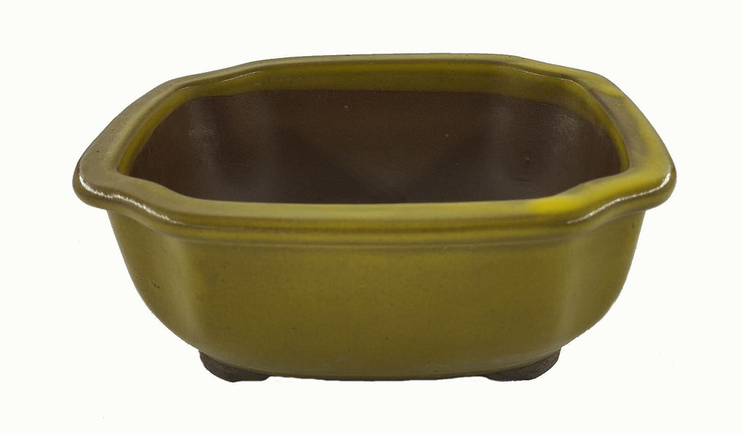 Vaso Bonsai verde oliva (art. 02)