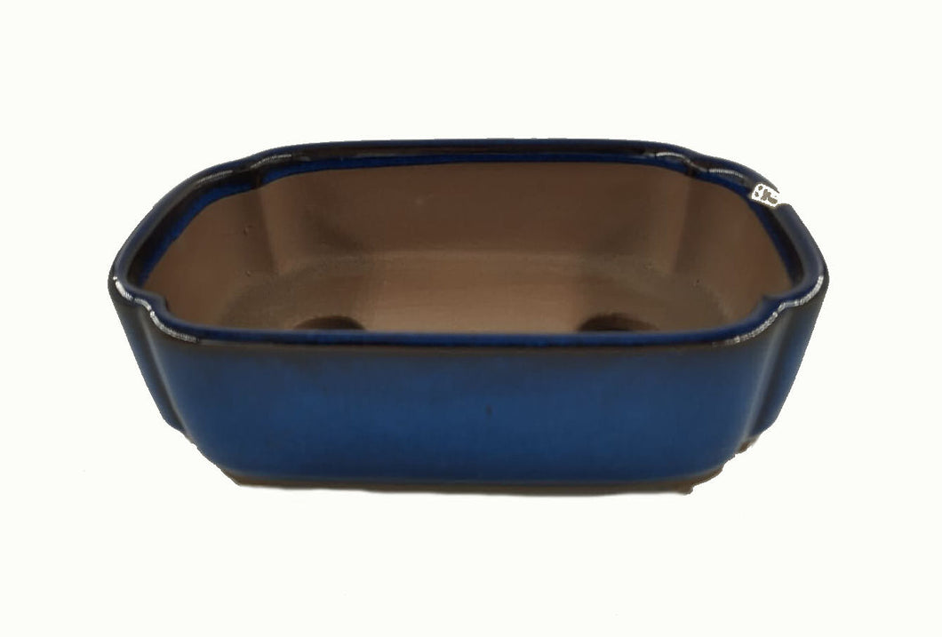 Vaso Bonsai blu (art. 09)