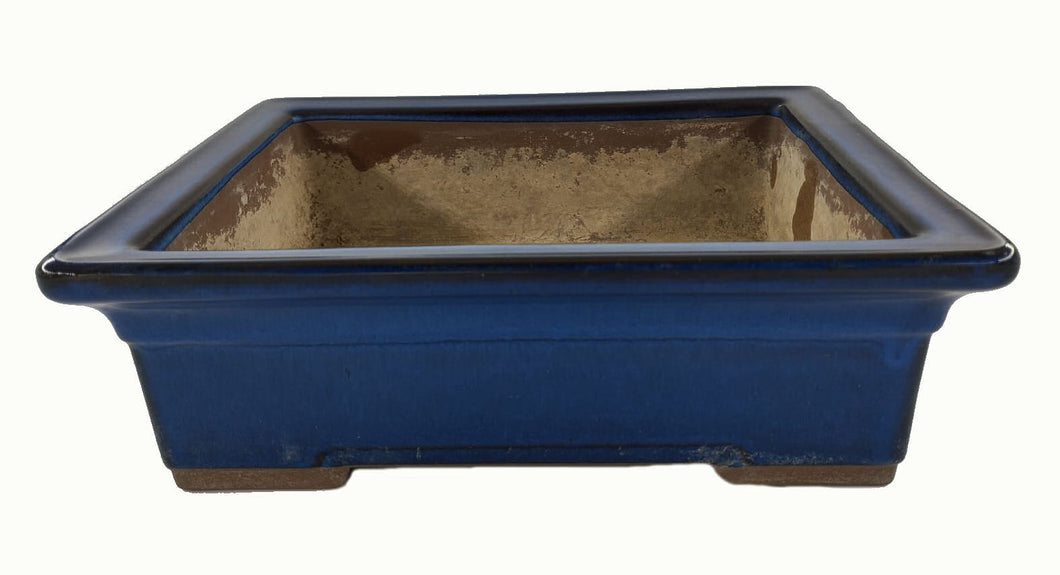 Vaso Bonsai blu (art. 18)