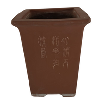 Carica l&#39;immagine nel visualizzatore di Gallery, Vaso Bonsai bamboo (art. 73)
