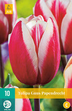 Carica l&#39;immagine nel visualizzatore di Gallery, Tulipa &quot;Guus Papendrecht&quot; in bulbi
