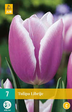 Carica l&#39;immagine nel visualizzatore di Gallery, Tulipa &quot;Librije&quot; in bulbi
