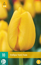Carica l&#39;immagine nel visualizzatore di Gallery, Tulipa &quot;Novi Sun&quot; in bulbi
