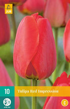 Carica l&#39;immagine nel visualizzatore di Gallery, Tulipa &quot;Red Impression&quot; in bulbi
