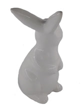 Carica l&#39;immagine nel visualizzatore di Gallery, Coniglio Bianco Large
